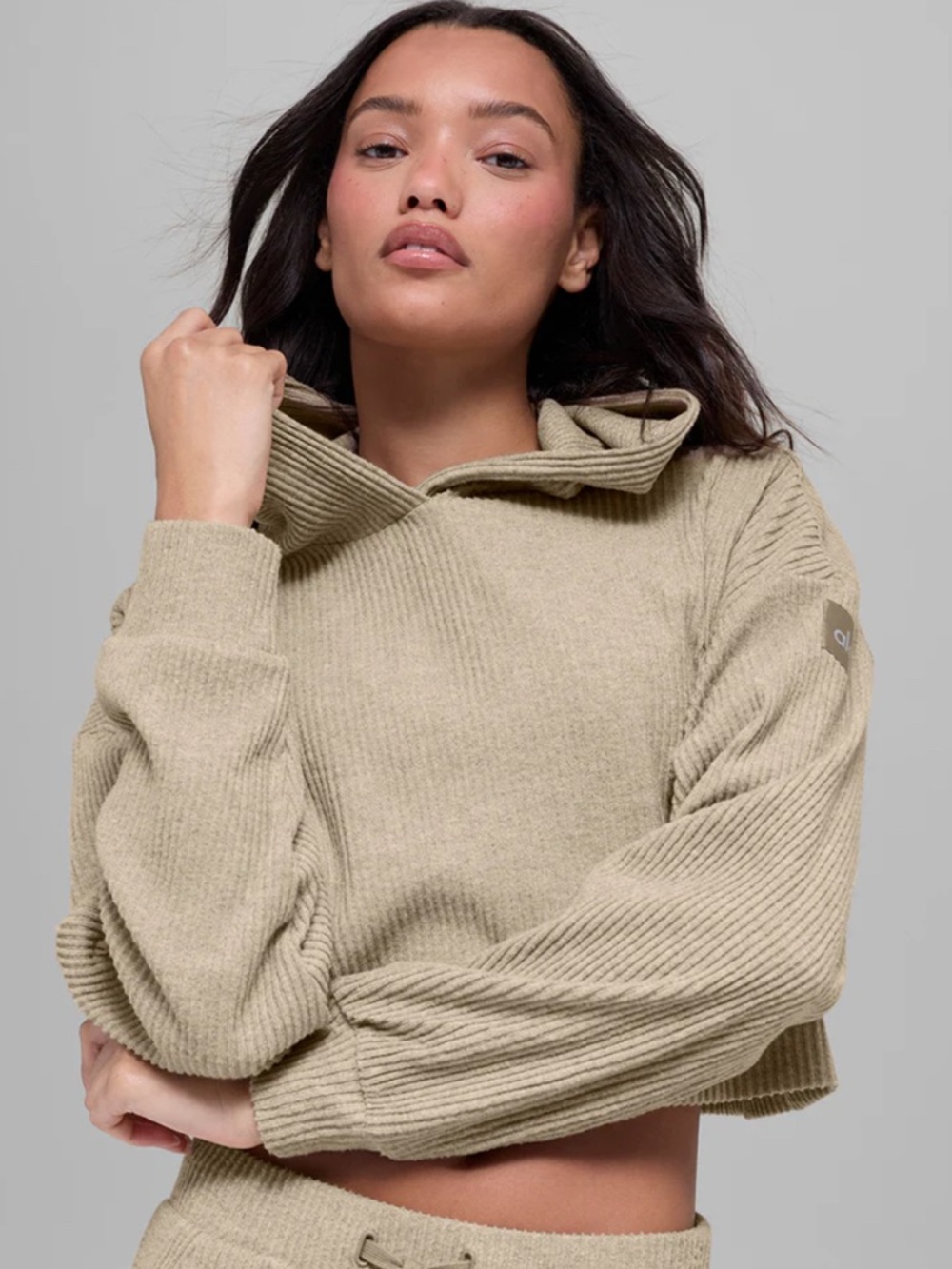 ALO Yoga Cropped Ribbed Hoodie in Light Gray